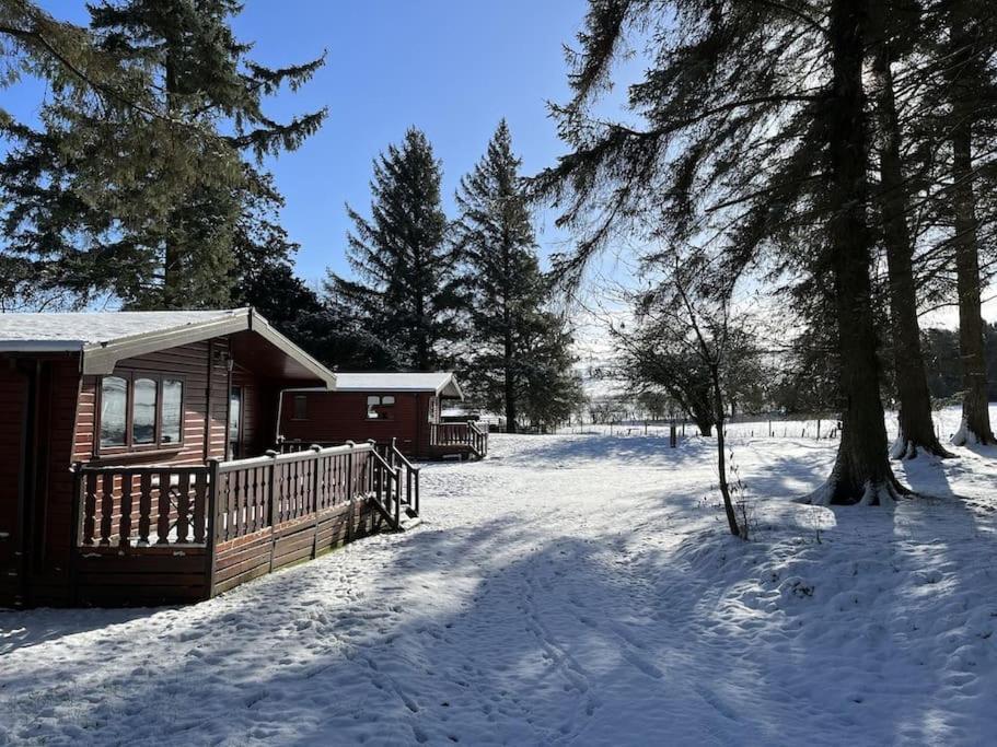 Secluded Pine 1 Apartment *
